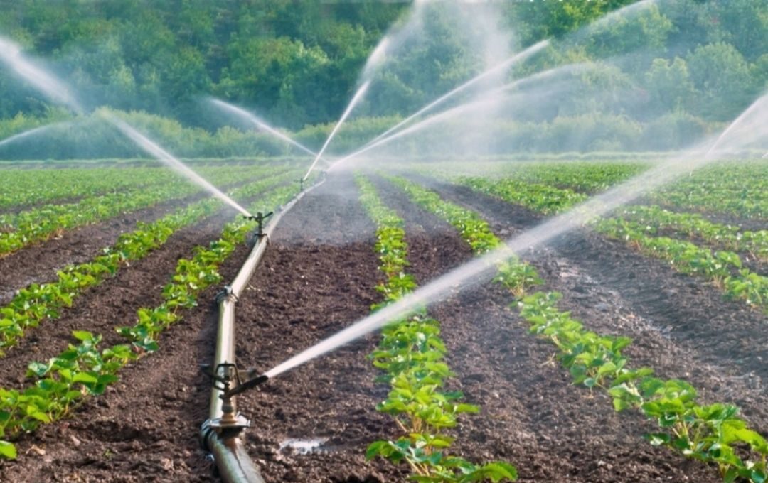 Agrícola e Irrigación